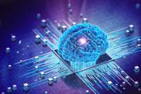 Digital Intelligence as a safety layer