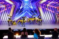 Boston Dynamics’ Spot robot dog auditions on America’s Got Talent